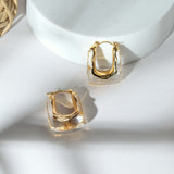 Transparent Radiance Earrings