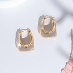 Transparent Radiance Earrings