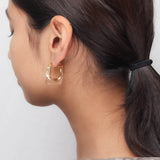 Transparent Radiance Earrings