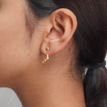 Delicate Golden Earrings