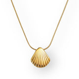 Golden Sea Shell Necklace