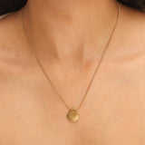 Golden Sea Shell Necklace